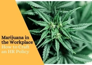 Marijuana in the Workplace: How to Craft an HR Policy