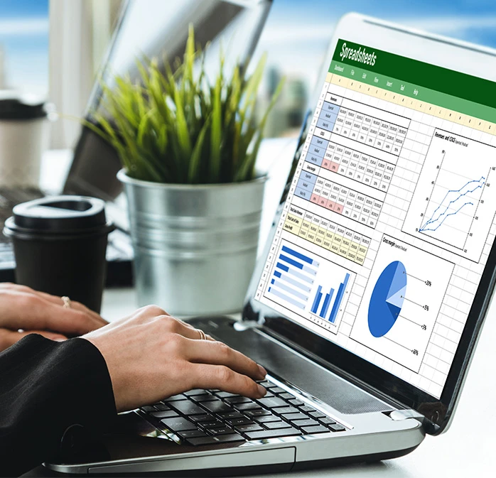 Advanced Excel Skills for Accountants
